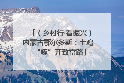 （乡村行·看振兴）内蒙古鄂尔多斯：土鸡“啄”开致富路