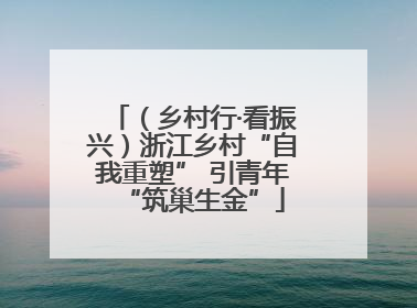 （乡村行·看振兴）浙江乡村“自我重塑” 引青年“筑巢生金”