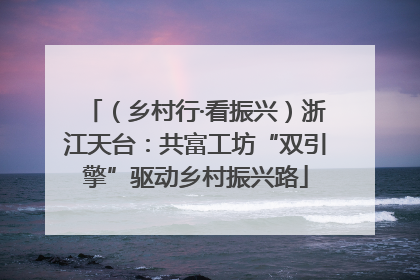 （乡村行·看振兴）浙江天台：共富工坊“双引擎”驱动乡村振兴路