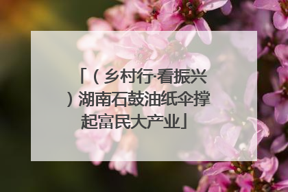 （乡村行·看振兴）湖南石鼓油纸伞撑起富民大产业
