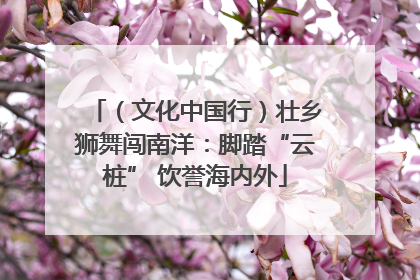 （文化中国行）壮乡狮舞闯南洋：脚踏“云桩” 饮誉海内外