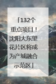132个重点项目！沈阳大东望花片区将成为产城融合示范区