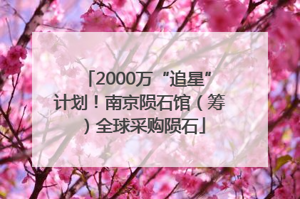 2000万“追星”计划！南京陨石馆（筹）全球采购陨石