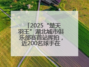 2025“楚天羽王”湖北城市俱乐部赛首站挥拍，近200名球手在黄石同场竞技