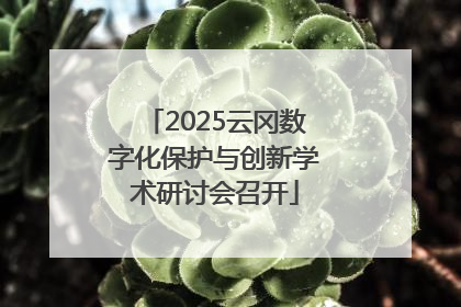 2025云冈数字化保护与创新学术研讨会召开