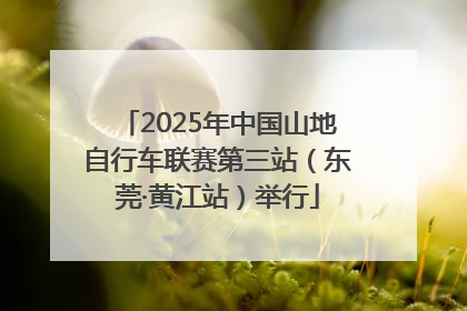 2025年中国山地自行车联赛第三站（东莞·黄江站）举行