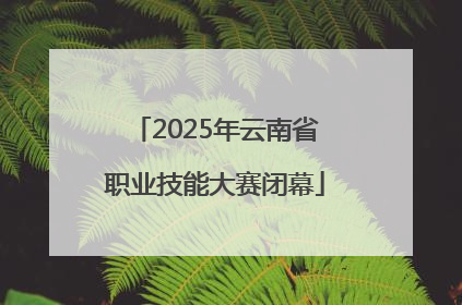 2025年云南省职业技能大赛闭幕