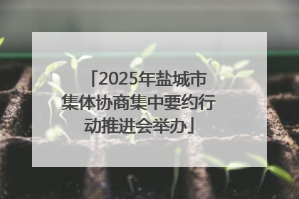 2025年盐城市集体协商集中要约行动推进会举办