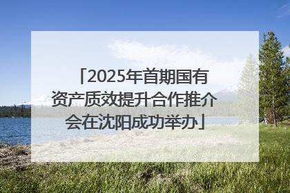 2025年首期国有资产质效提升合作推介会在沈阳成功举办