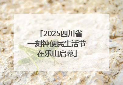 2025四川省一刻钟便民生活节在乐山启幕