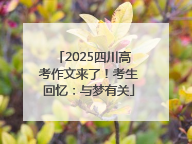 2025四川高考作文来了！考生回忆：与梦有关
