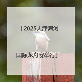 2025天津海河国际龙舟赛举行