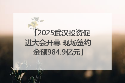 2025武汉投资促进大会开幕 现场签约金额984.9亿元