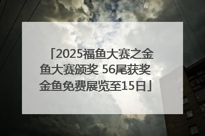 2025福鱼大赛之金鱼大赛颁奖 56尾获奖金鱼免费展览至15日