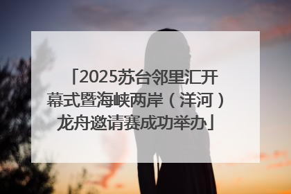 2025苏台邻里汇开幕式暨海峡两岸（洋河）龙舟邀请赛成功举办