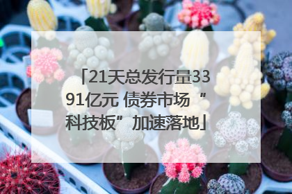 21天总发行量3391亿元 债券市场“科技板”加速落地