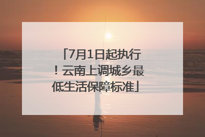 7月1日起执行！云南上调城乡最低生活保障标准