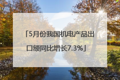 5月份我国机电产品出口额同比增长7.3%