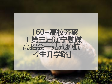 60+高校齐聚！第三届辽宁融媒高招会一站式护航考生升学路