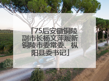 75后安徽铜陵副市长杨文萍履新铜陵市委常委、枞阳县委书记