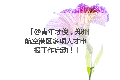 @青年才俊，郑州航空港区多项人才申报工作启动！