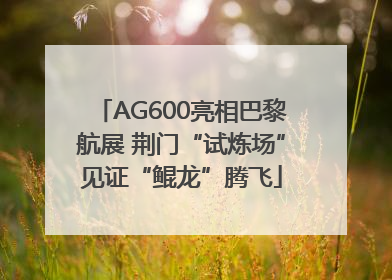 AG600亮相巴黎航展 荆门“试炼场”见证“鲲龙”腾飞