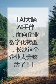 AI大脑+AI手伴，面向企业数字化转型，长沙这个企业太会整活了！